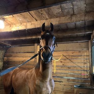 Meet your Posher, Kayleigh